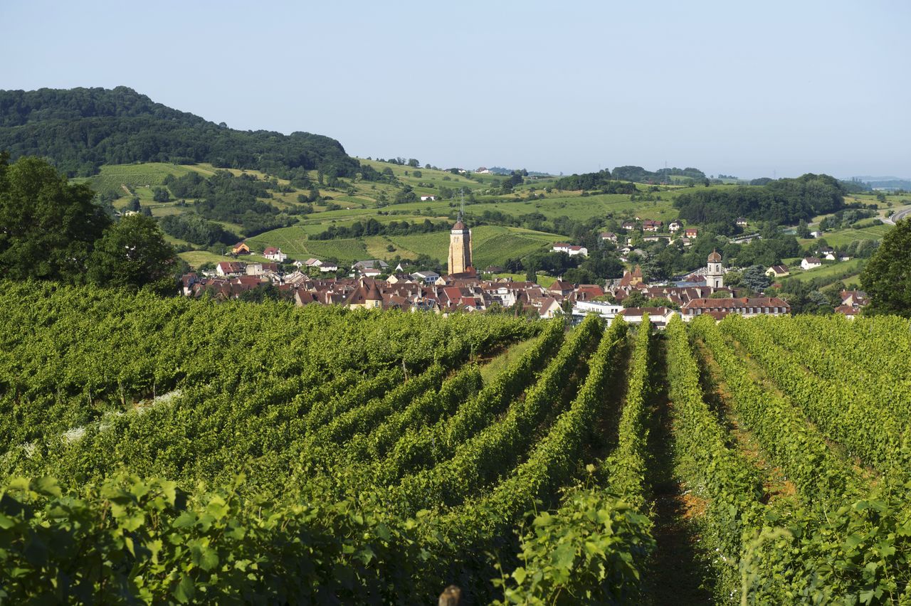 Communes Arbois Panoramique 5010