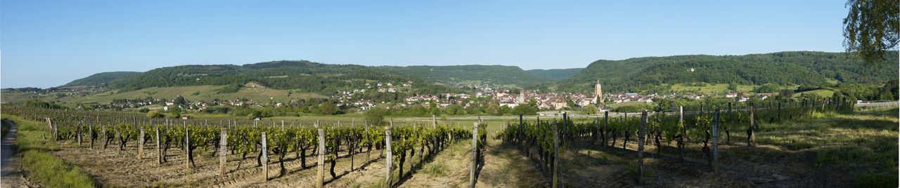 Communes Arbois Panoramique Panorama_Arbois