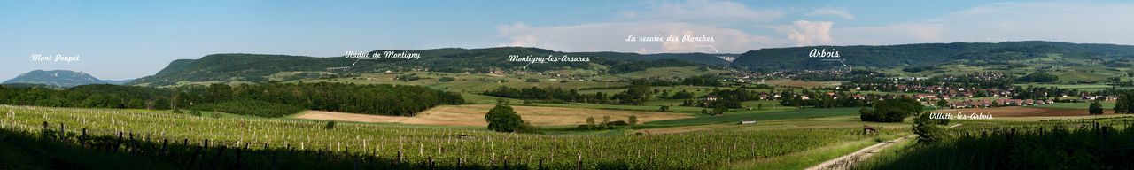Communes Arbois Panoramique pano_arbois