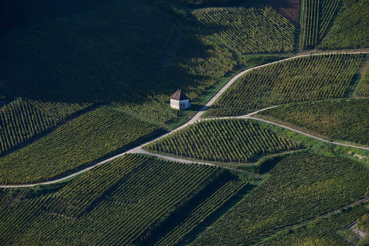 Communes Château-Chalon BI-0255