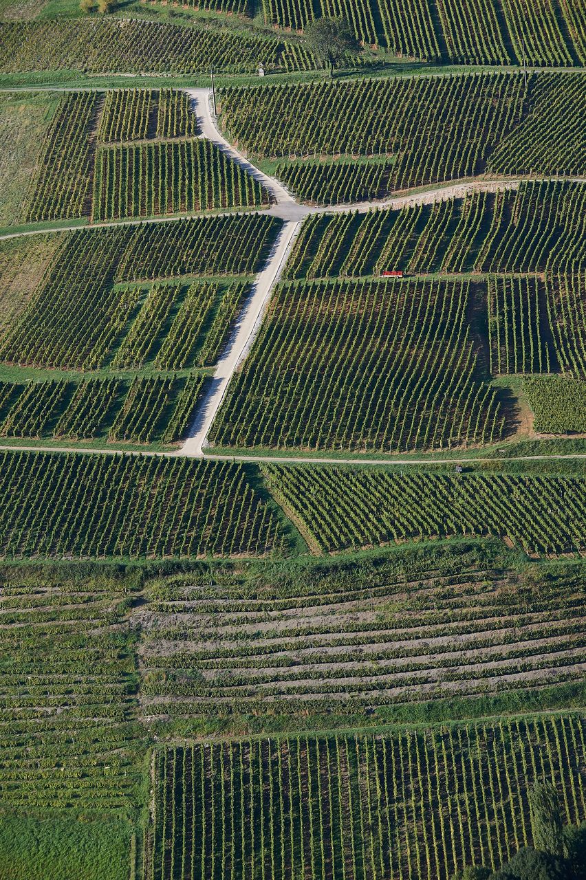 Communes Château-Chalon BI-0256