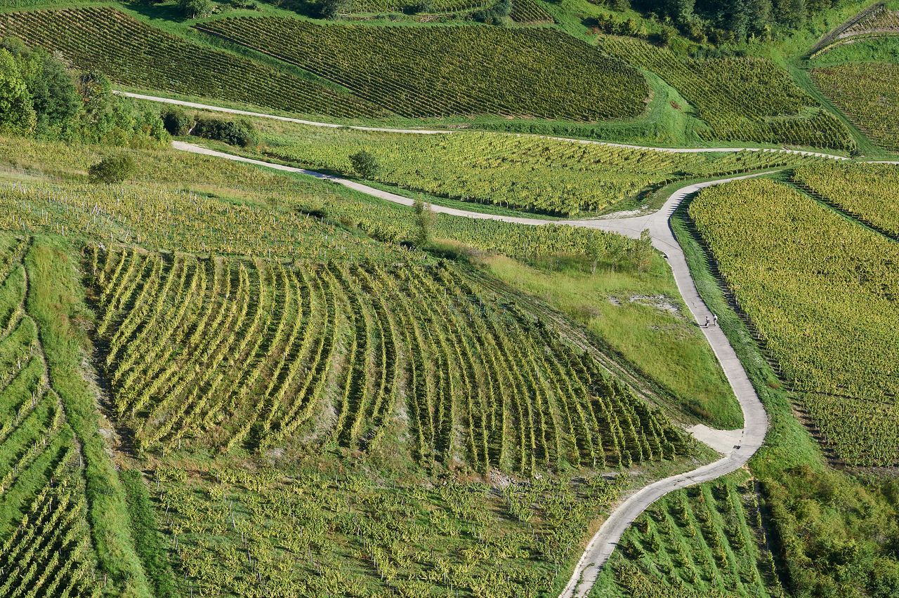 Communes Château-Chalon BI-0258