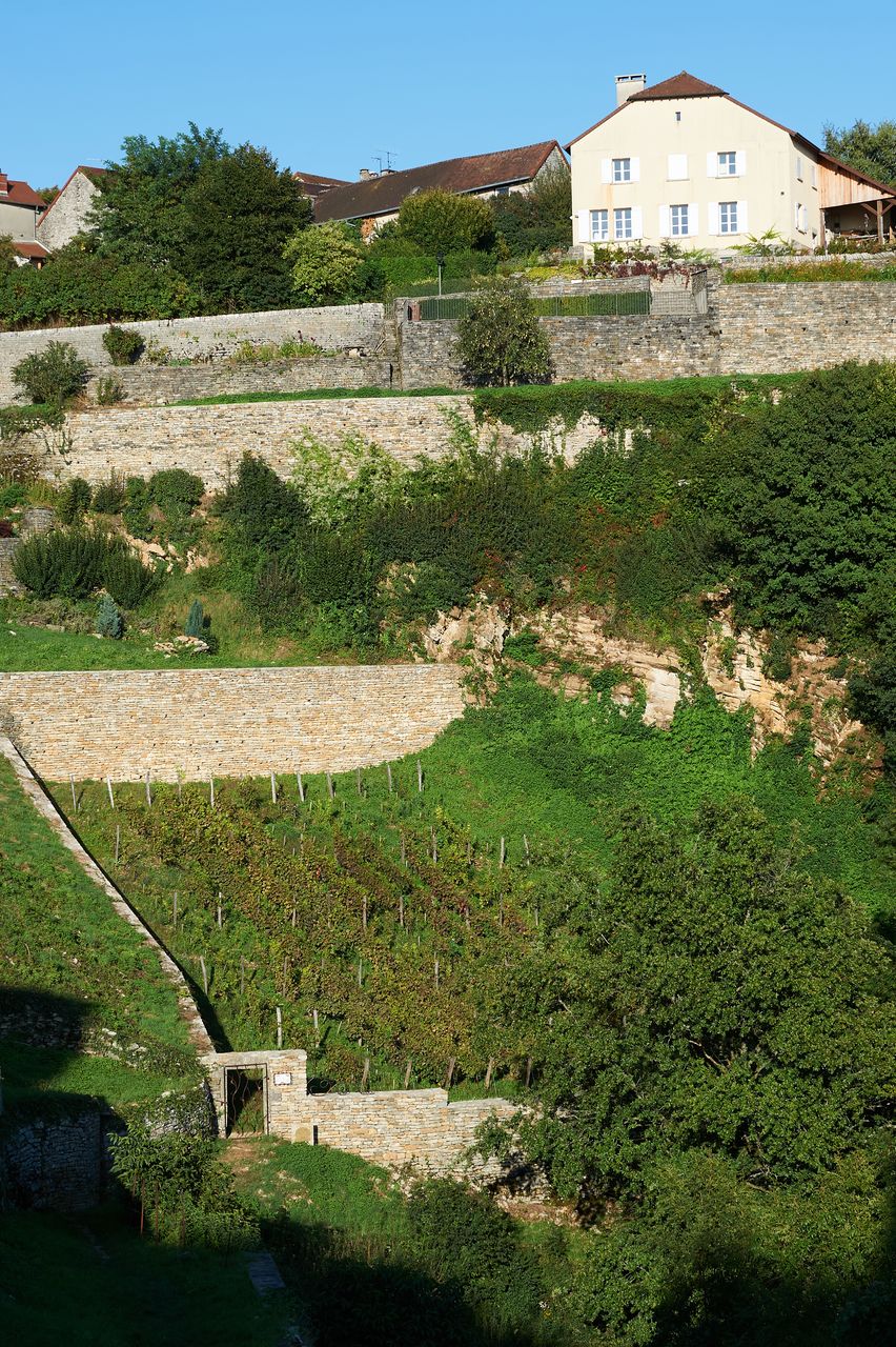 Communes Château-Chalon BI-0260
