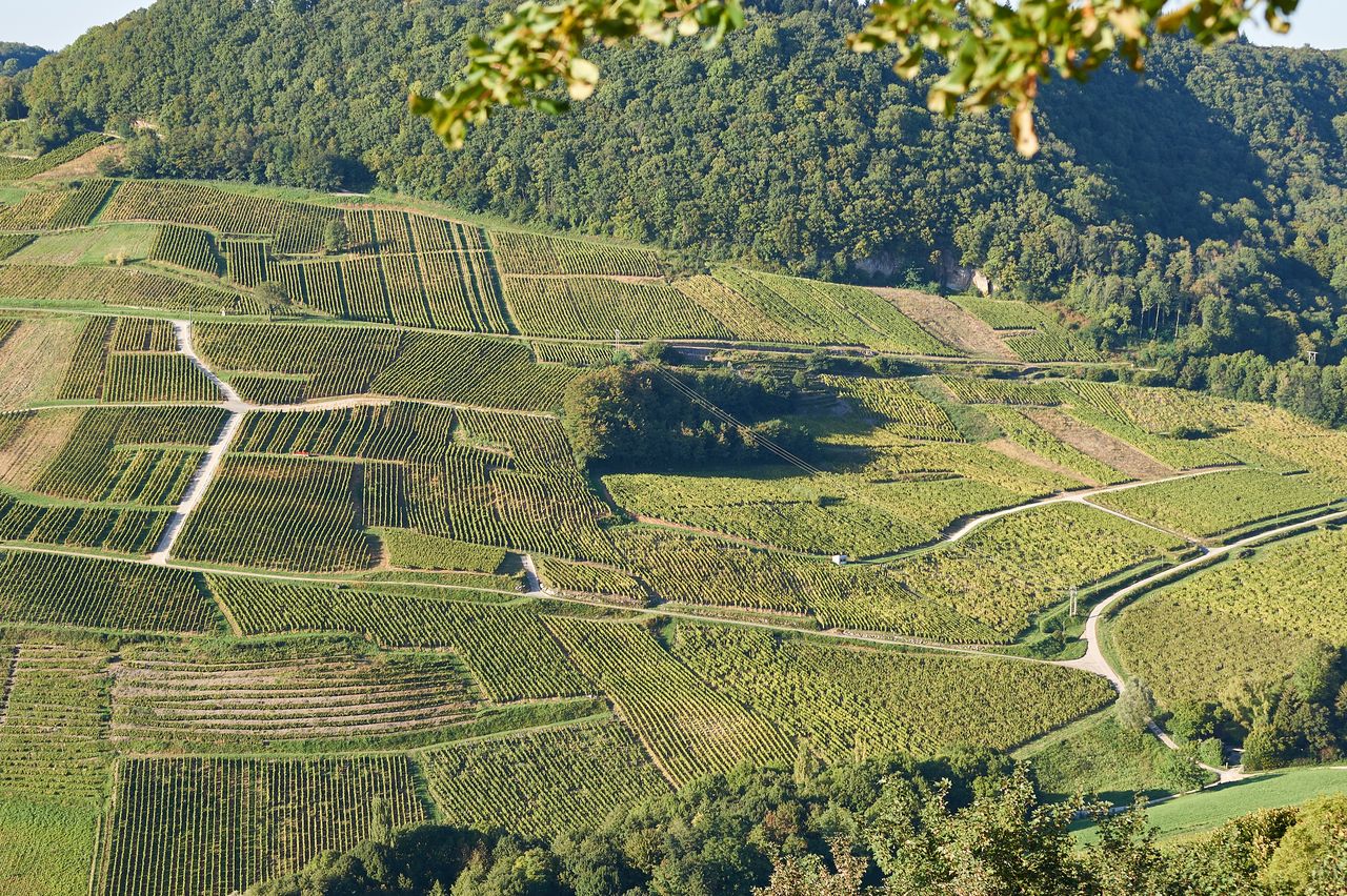 Communes Château-Chalon BI-0262