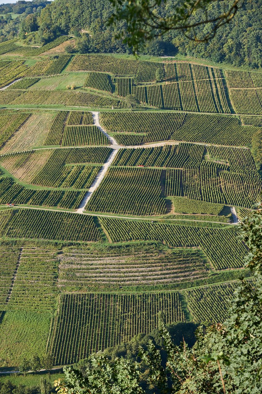 Communes Château-Chalon BI-0263