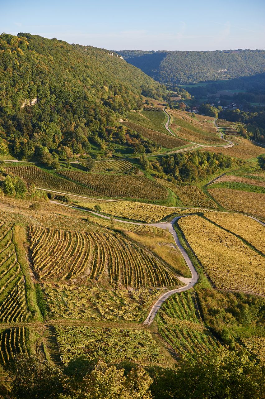 Communes Château-Chalon BI-0264