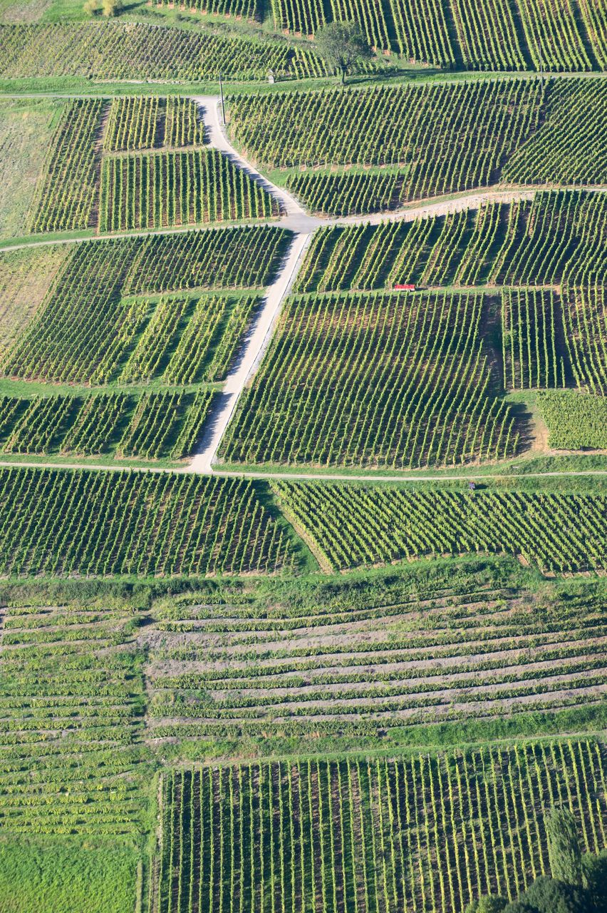 Communes Château-Chalon 2949