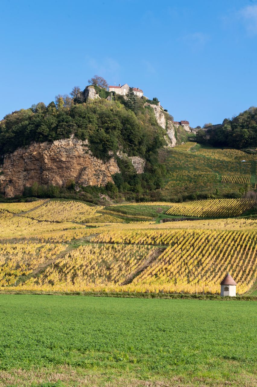Communes Château-Chalon WKF_8358