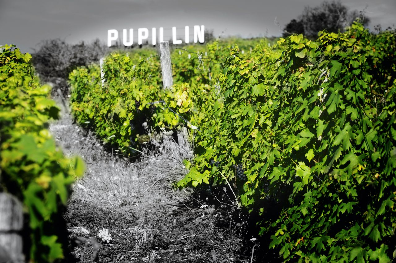 Communes Pupillin pupillin2011