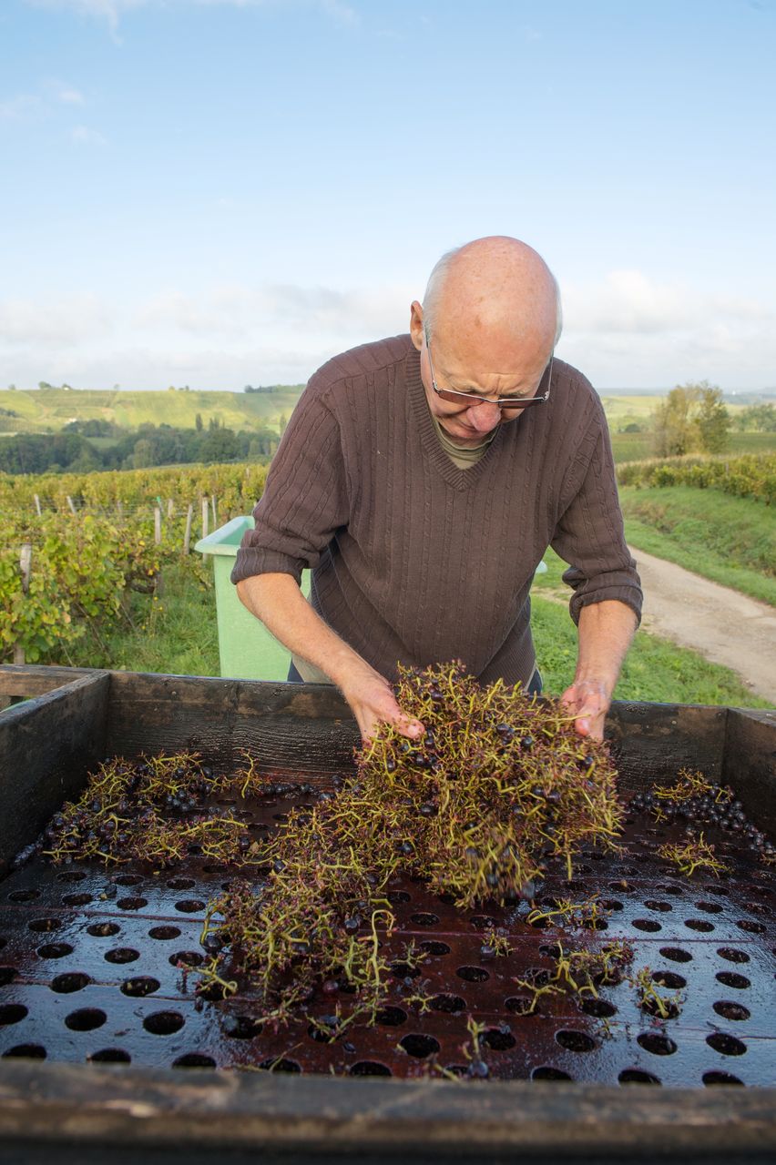 Vignoble Technique Crible 8402