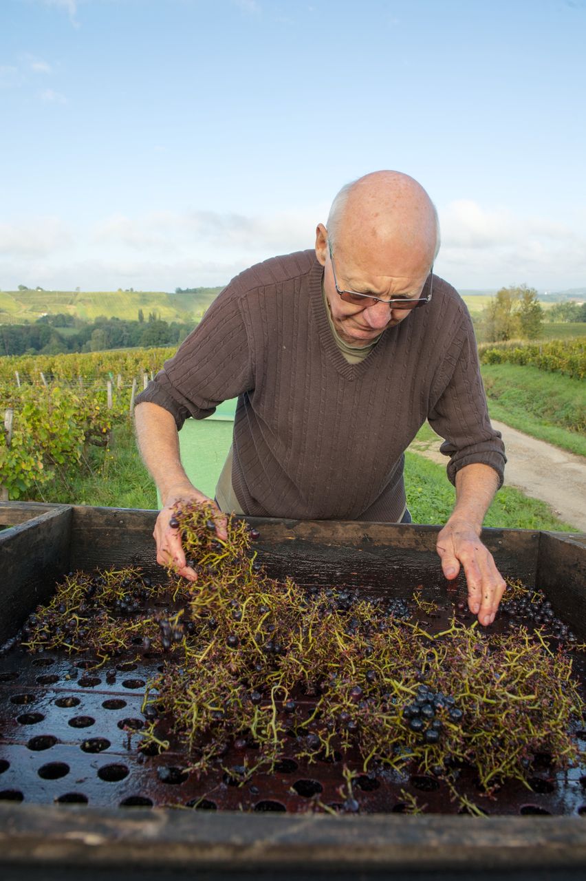 Vignoble Technique Crible 8403