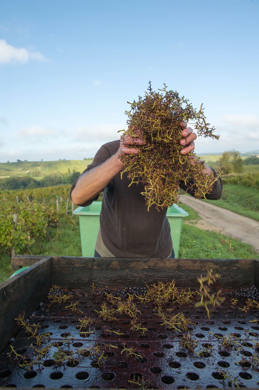 Vignoble Technique Crible 8411