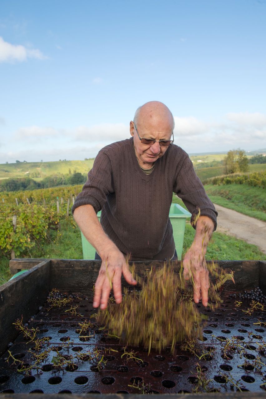 Vignoble Technique Crible 8412