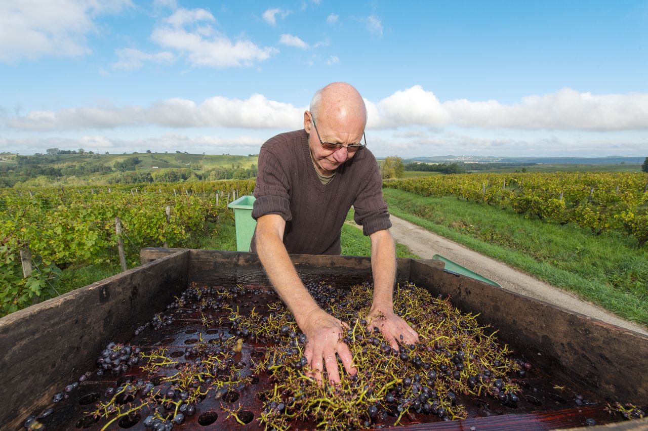 Vignoble Technique Crible 8463