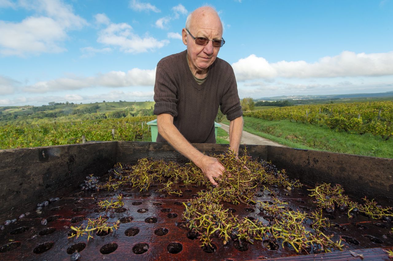 Vignoble Technique Crible 8465