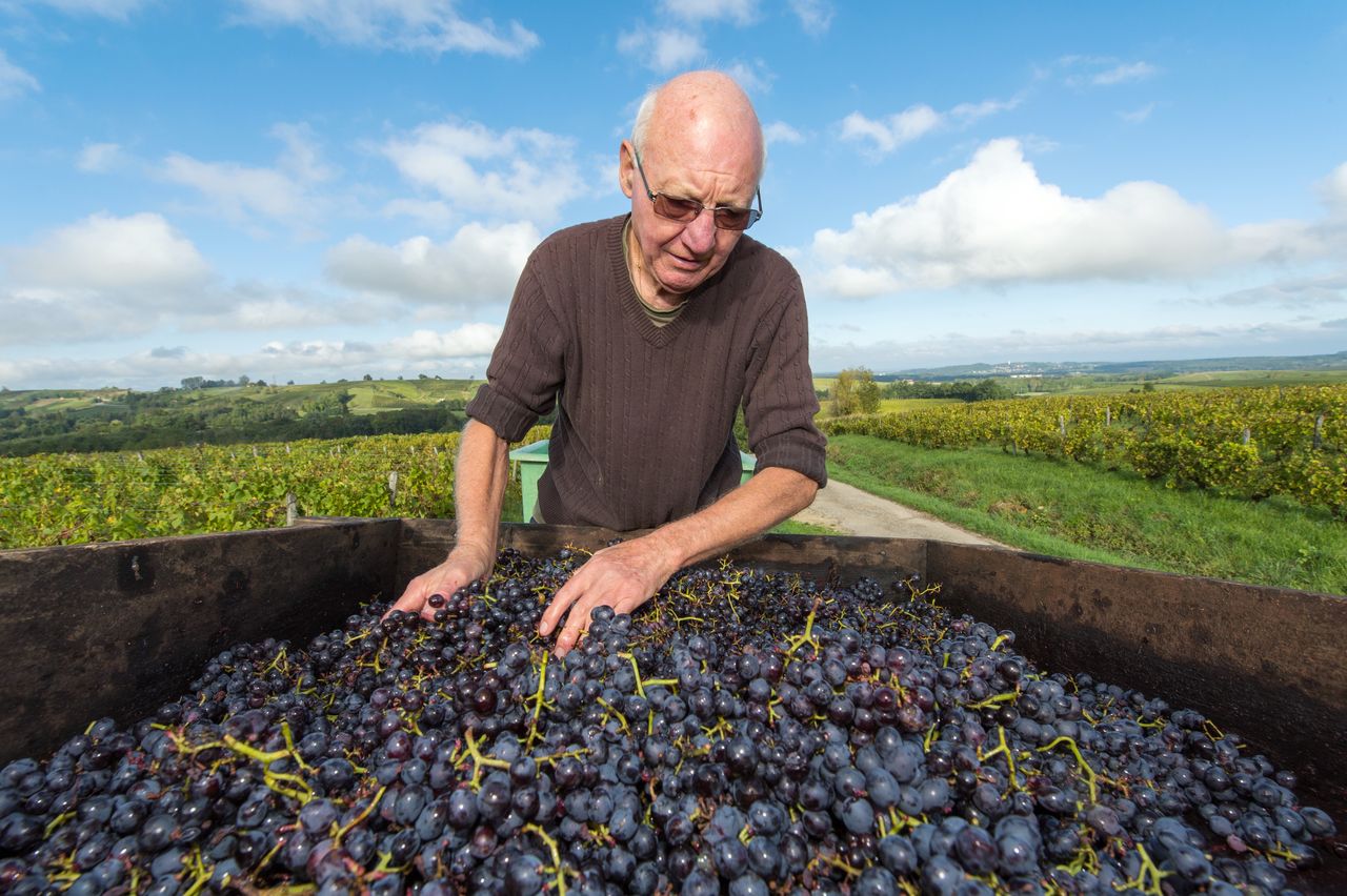 Vignoble Technique Crible 8509