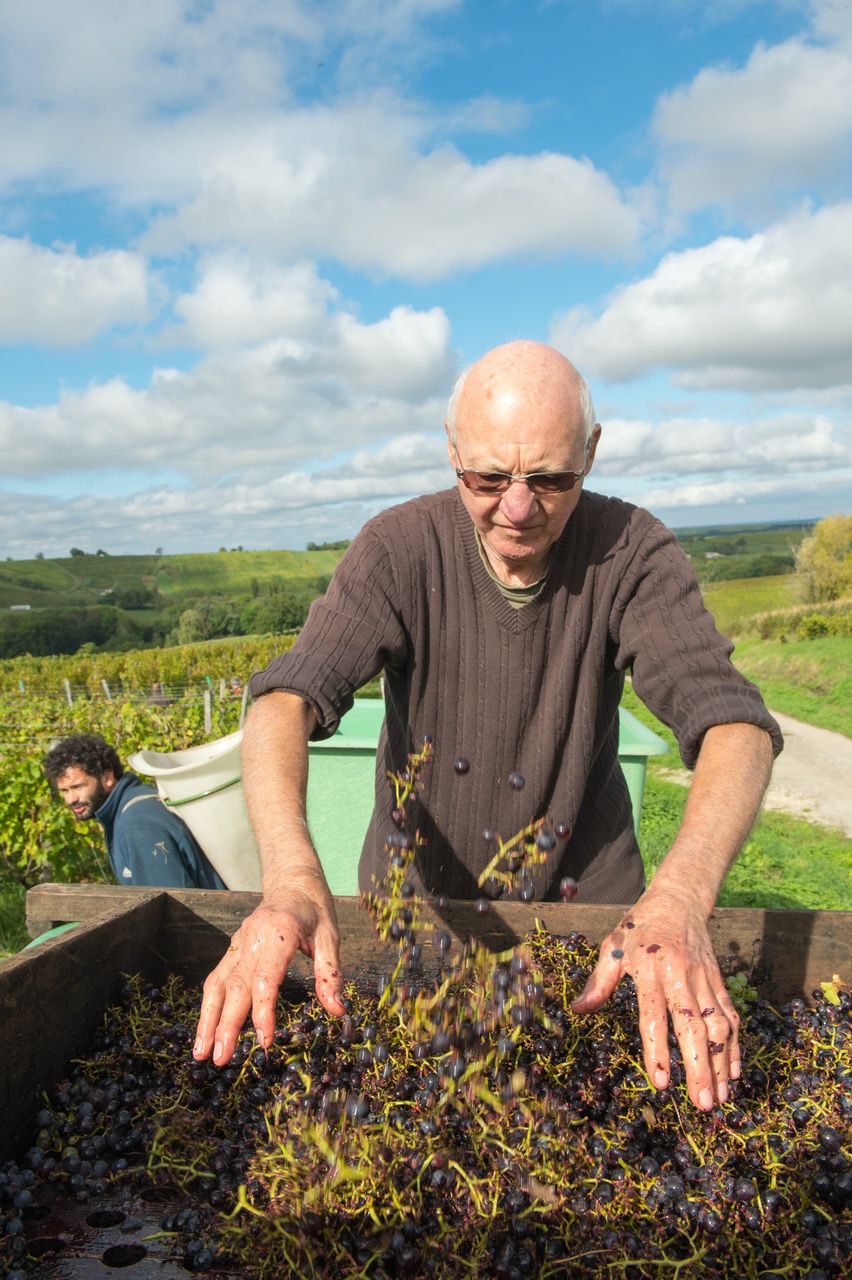 Vignoble Technique Crible 8712
