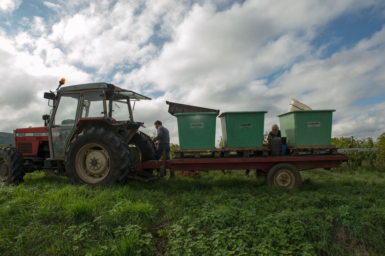 Vignoble Technique Crible 8730