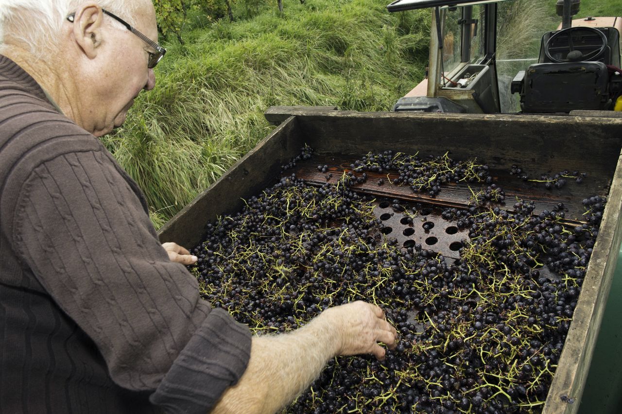 Vignoble Technique Crible 8852