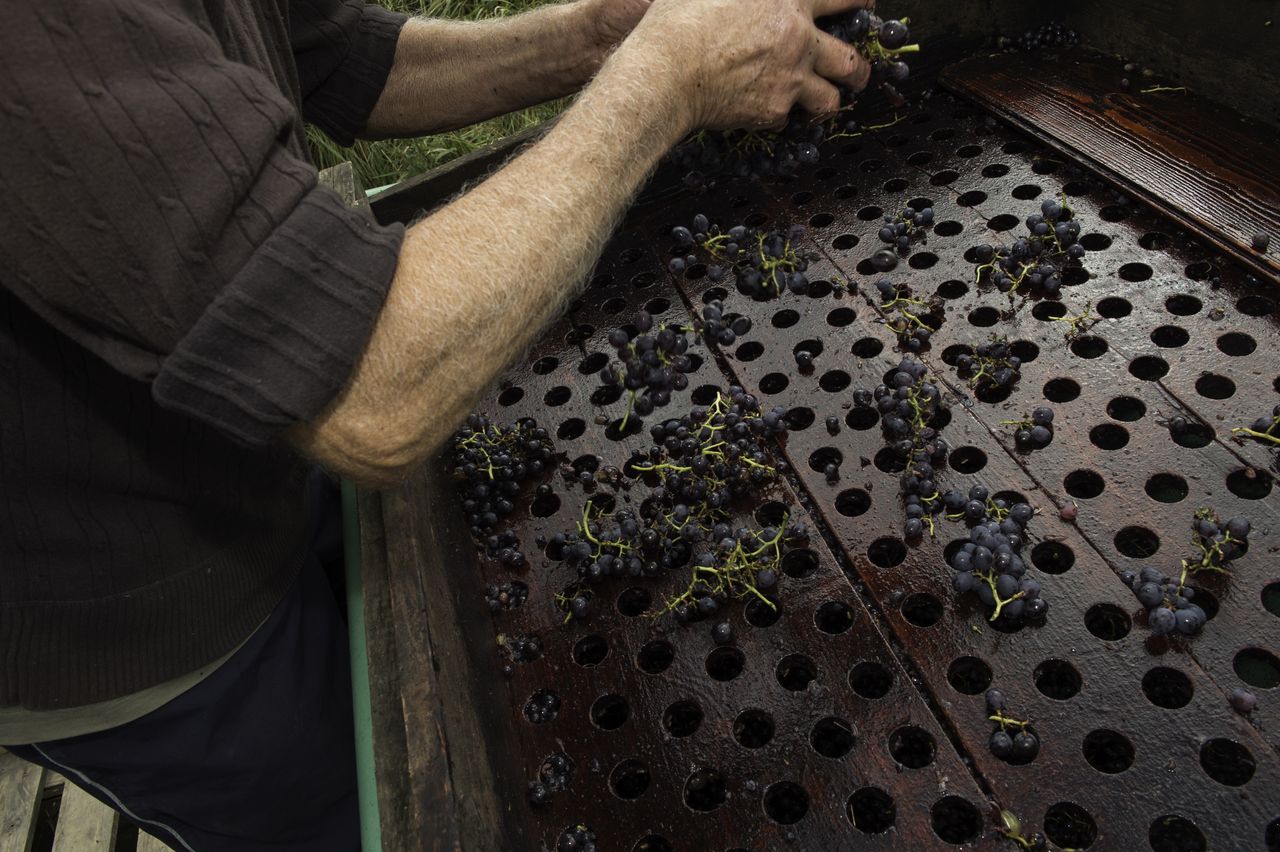 Vignoble Technique Crible 8866