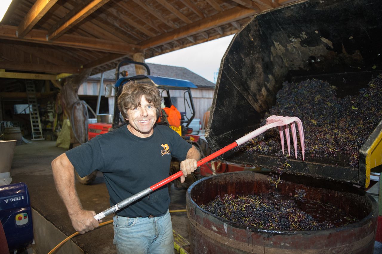 Vignoble Technique Crible 9139