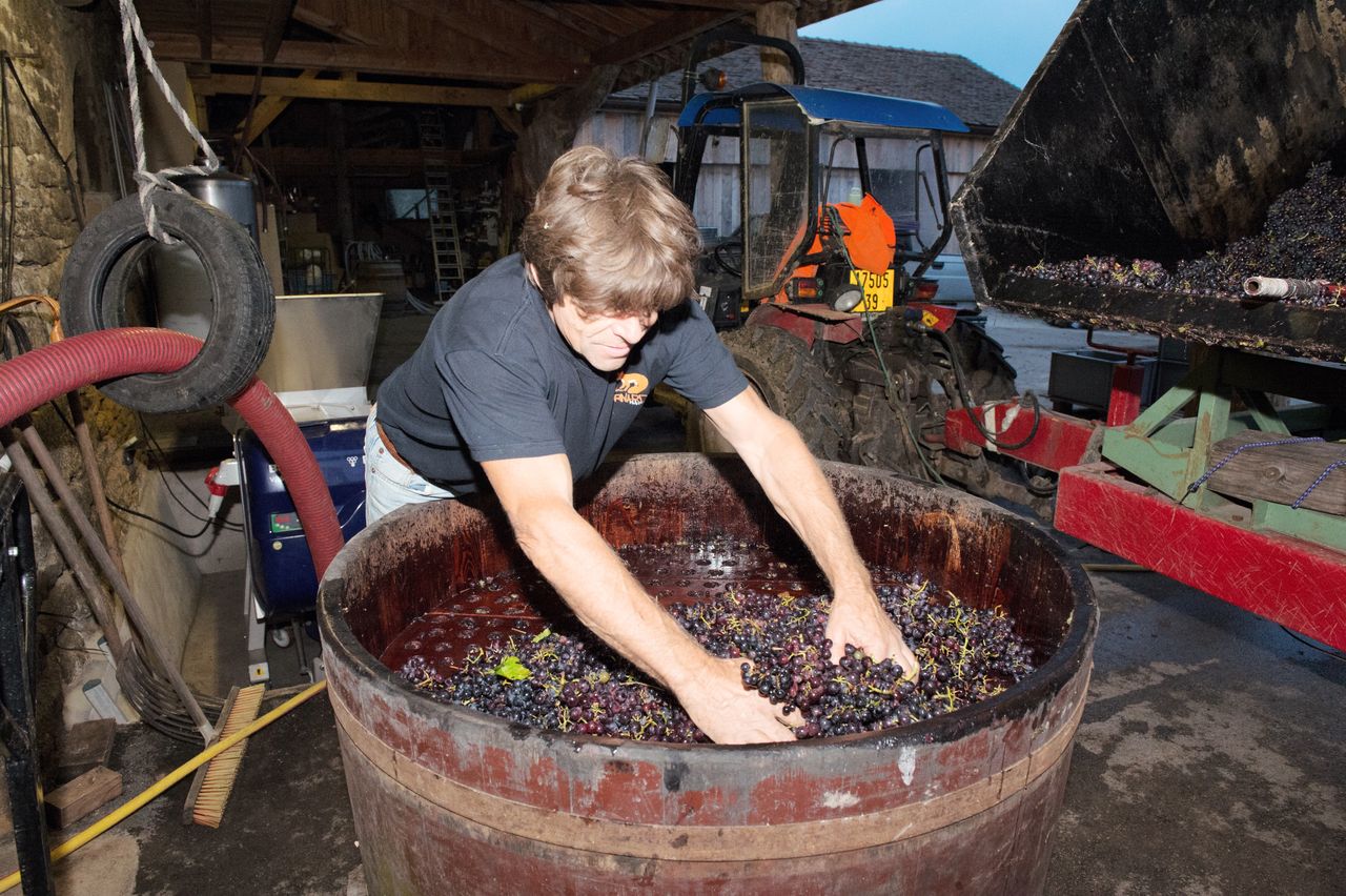 Vignoble Technique Crible 9140