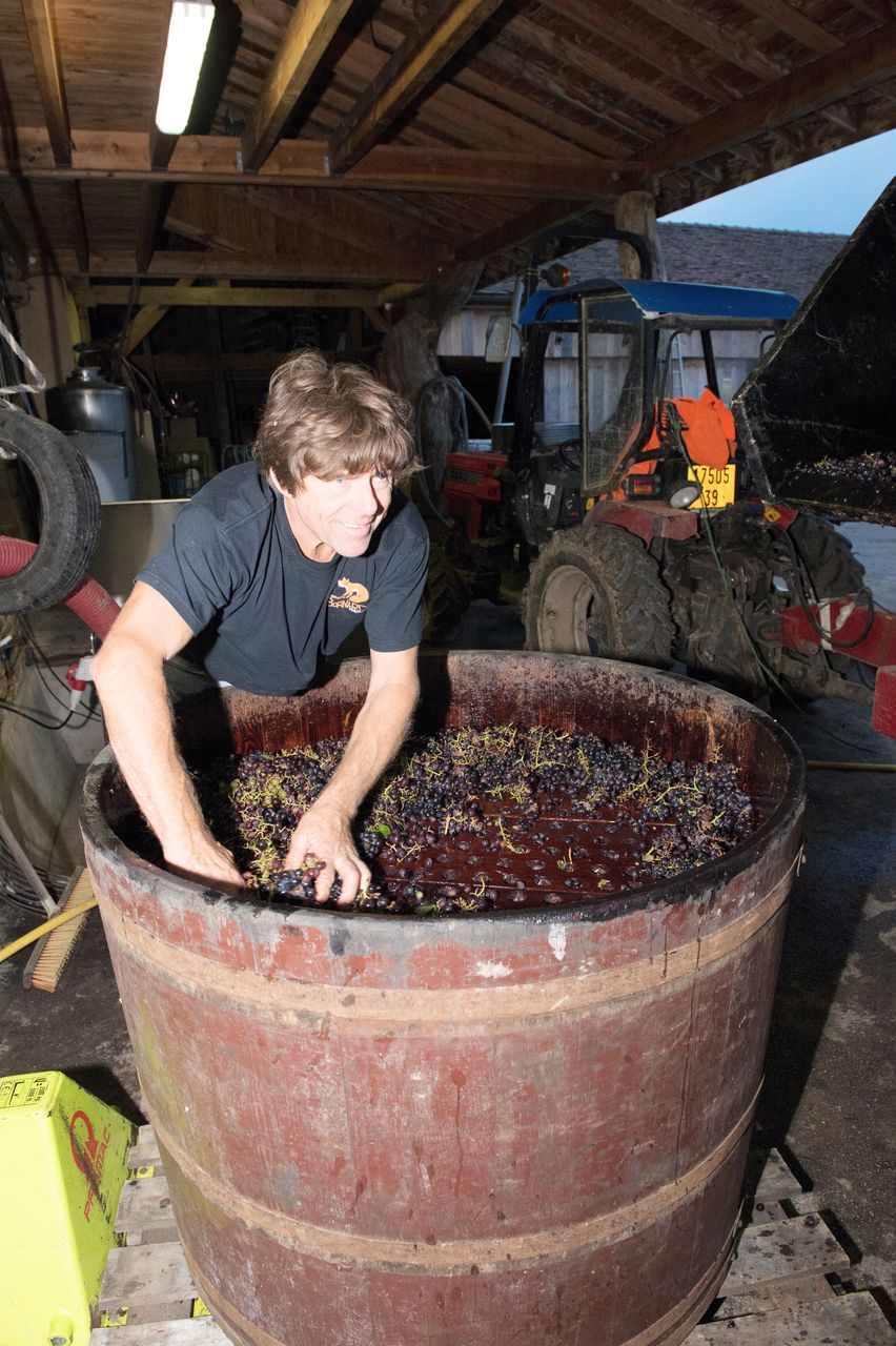 Vignoble Technique Crible 9143