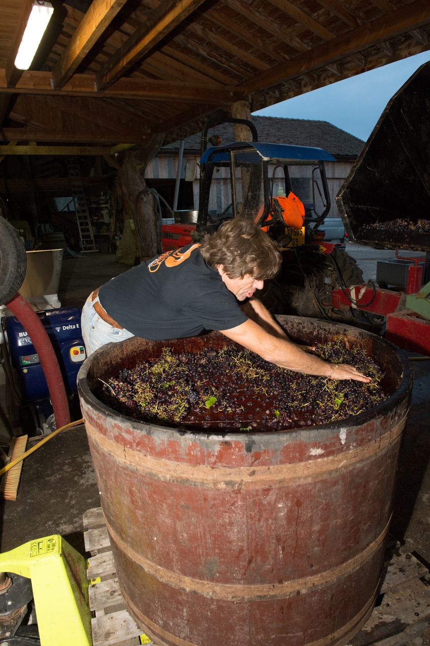 Vignoble Technique Crible 9144