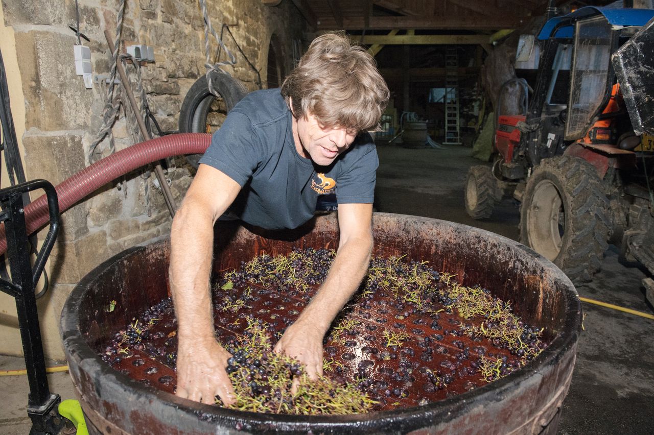 Vignoble Technique Crible 9150