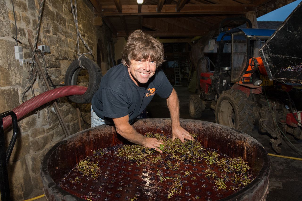 Vignoble Technique Crible 9159