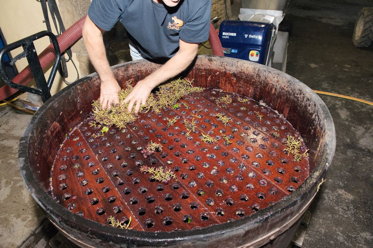 Vignoble Technique Crible 9166