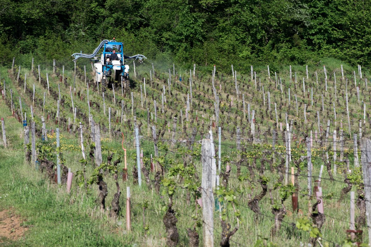 Vignoble Technique Traitement 0826