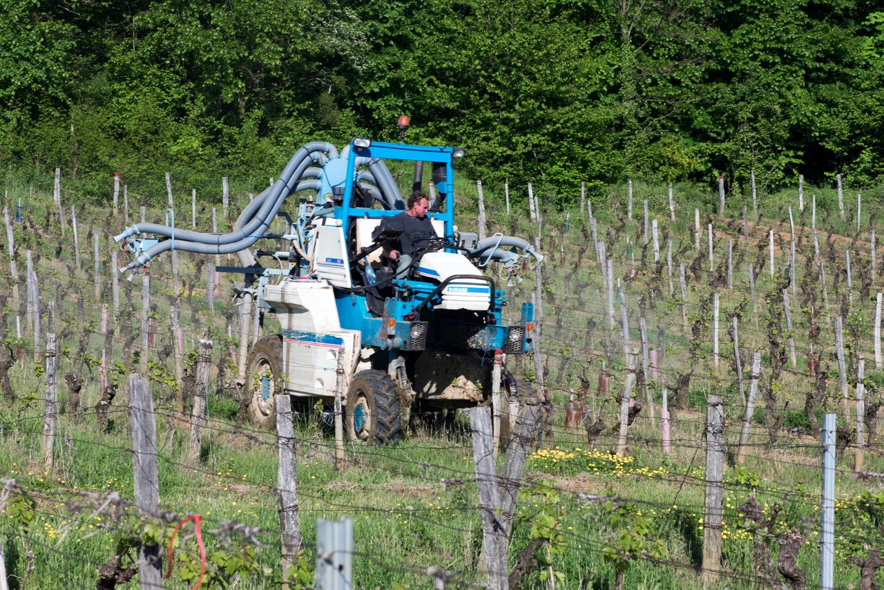 Vignoble Technique Traitement 0828