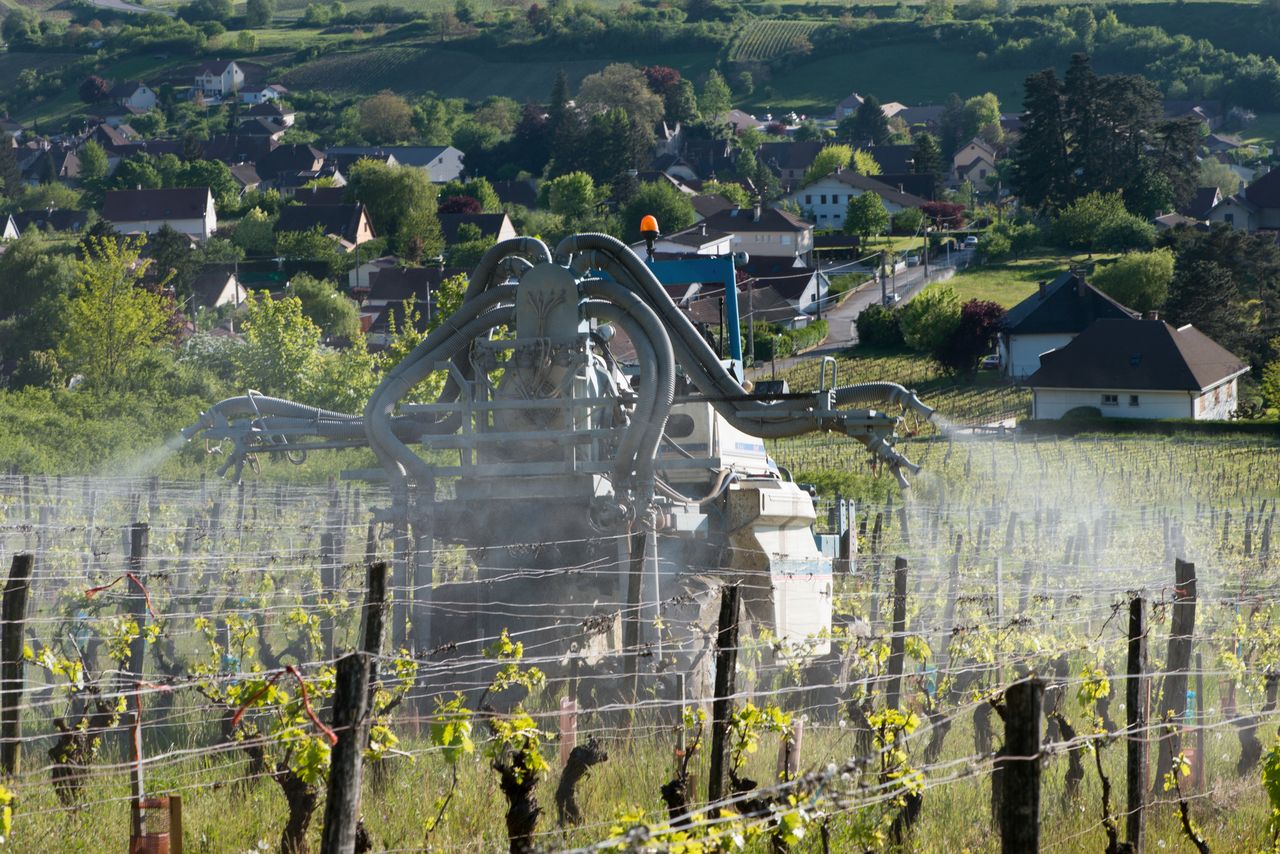 Vignoble Technique Traitement 0841