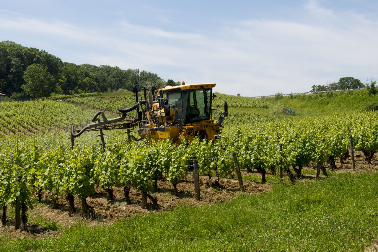 Vignoble Technique Traitement WJM_1623