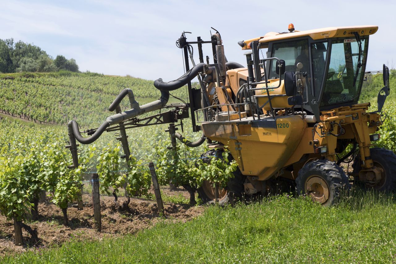 Vignoble Technique Traitement WJM_1628