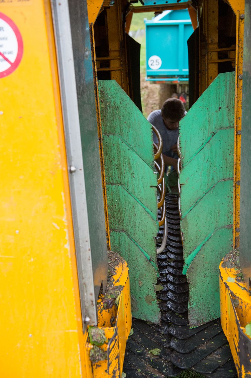 Vignoble Vendange 9084