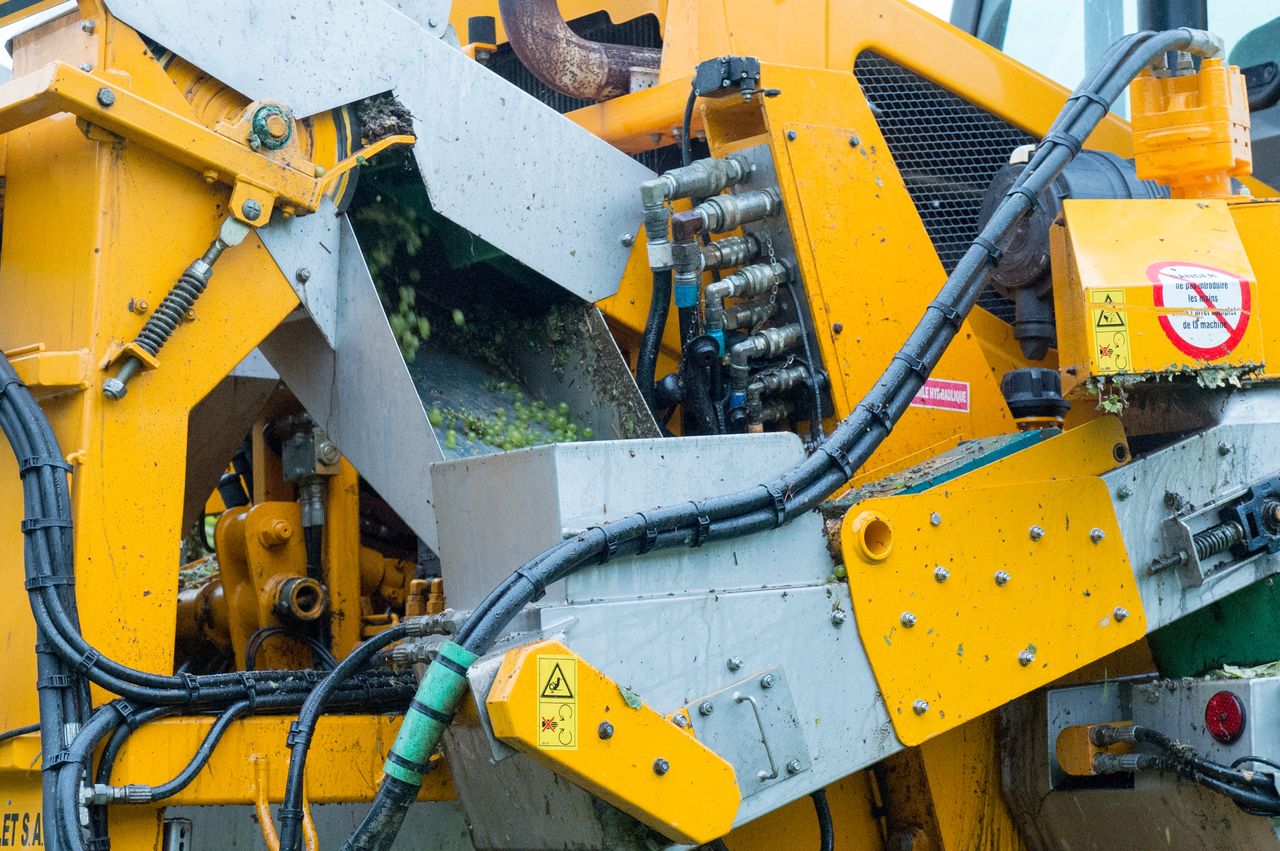 Vignoble Vendange 9091