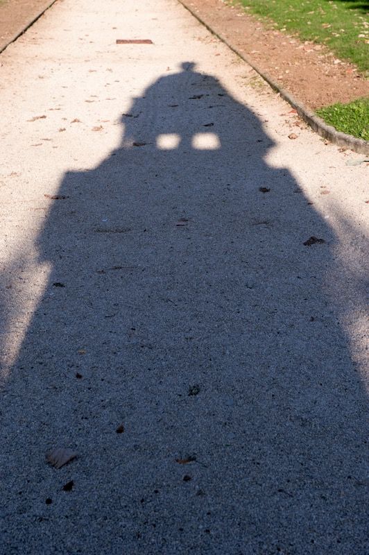 Communes Arbois Pasteur Arbois-21