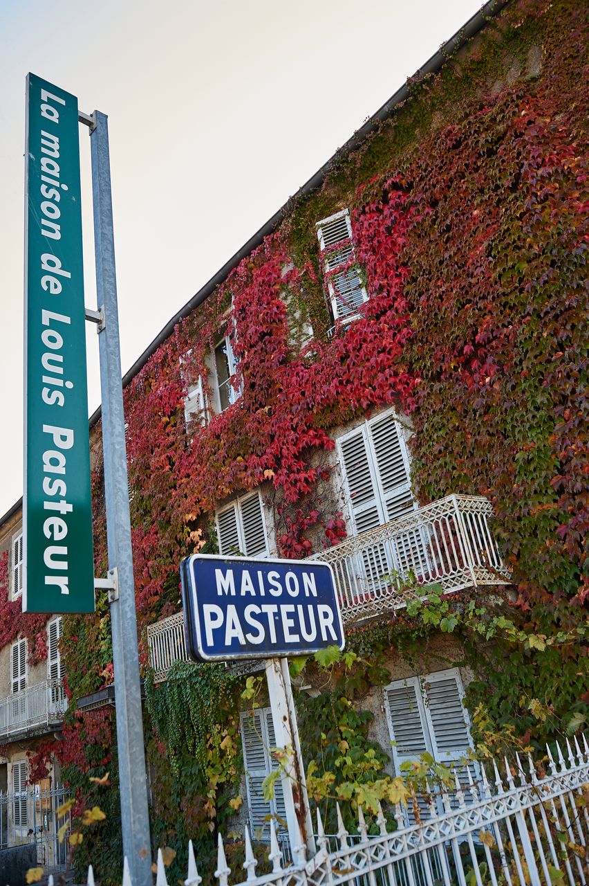 Communes Arbois Pasteur BI-0204