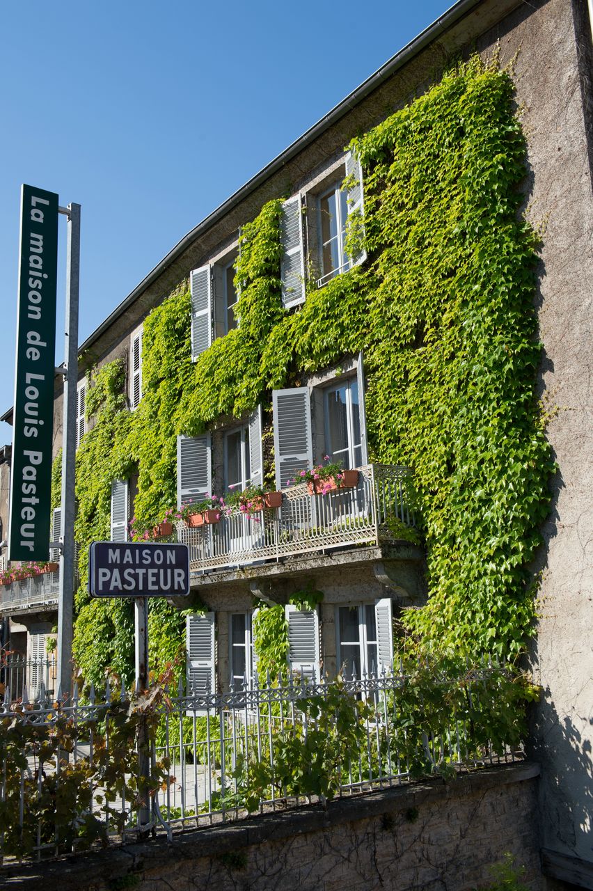 Communes Arbois Pasteur 2478