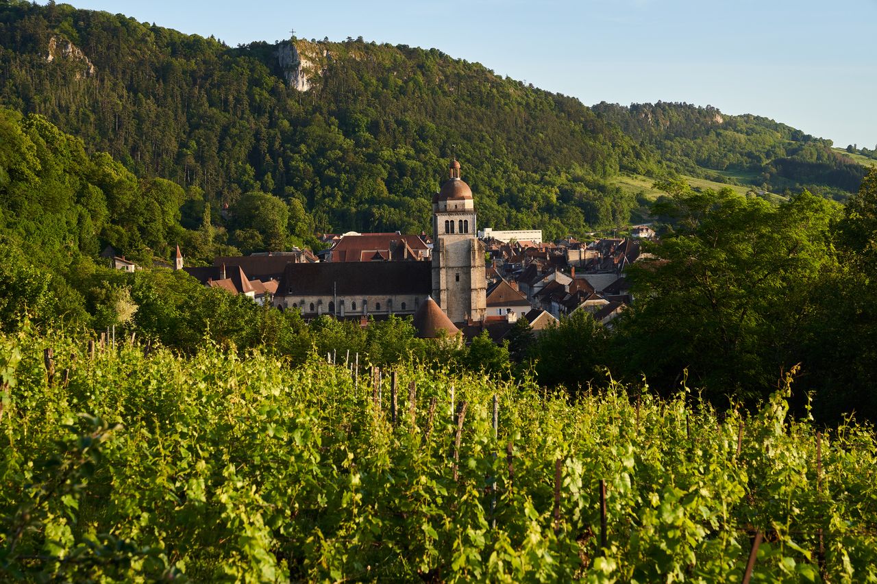 Communes Poligny vue du centre de poligny avec vigne 03