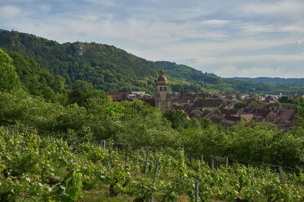 Communes Poligny vue du centre de poligny avec vigne 02