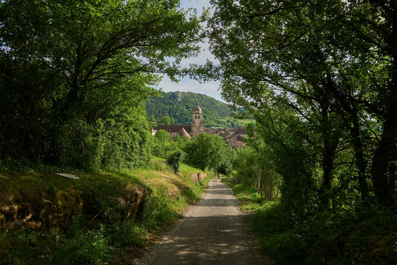 Communes Poligny vue du centre de poligny avec vigne 01