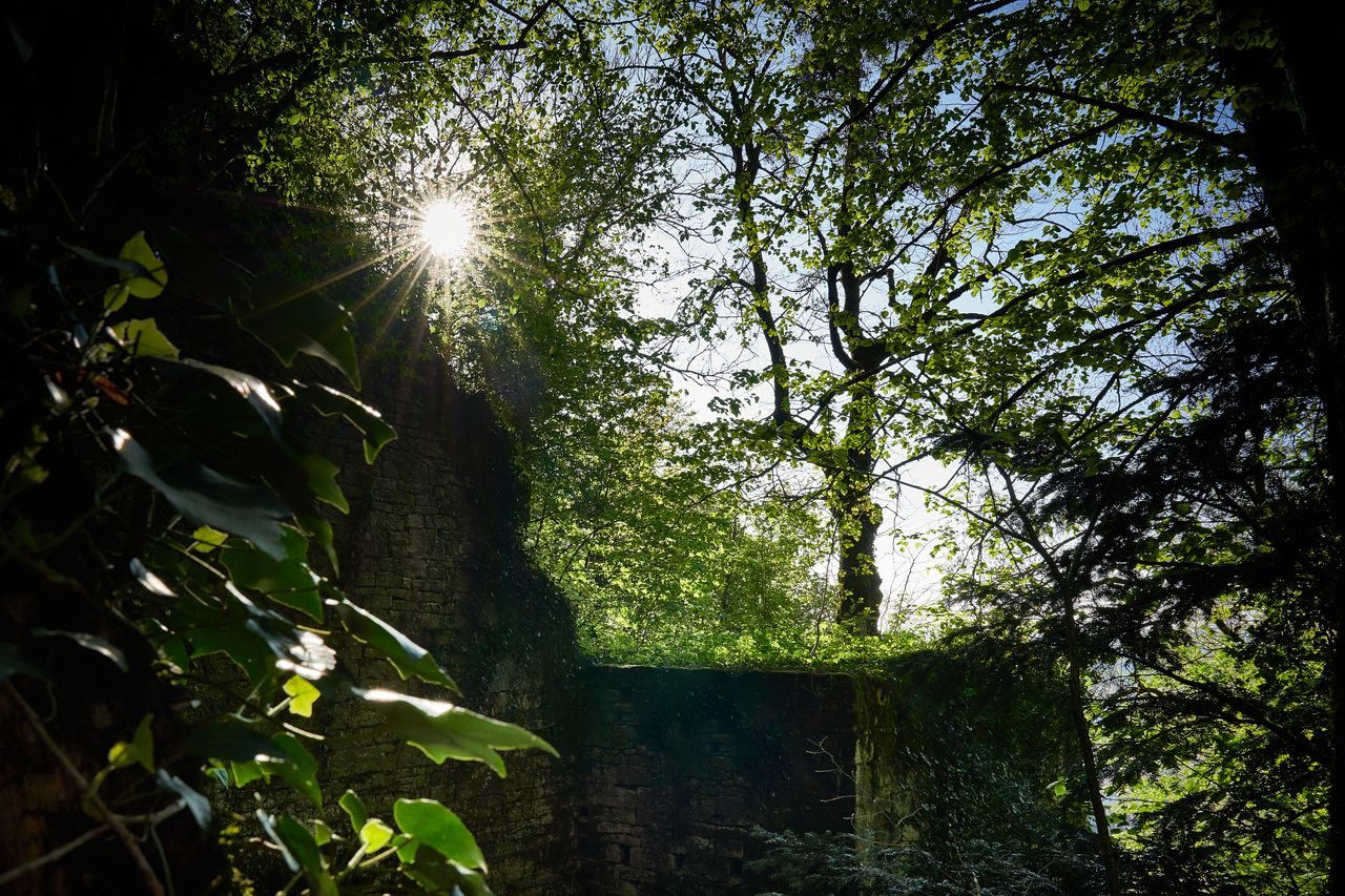 Communes Poligny rempart-Poligny-019