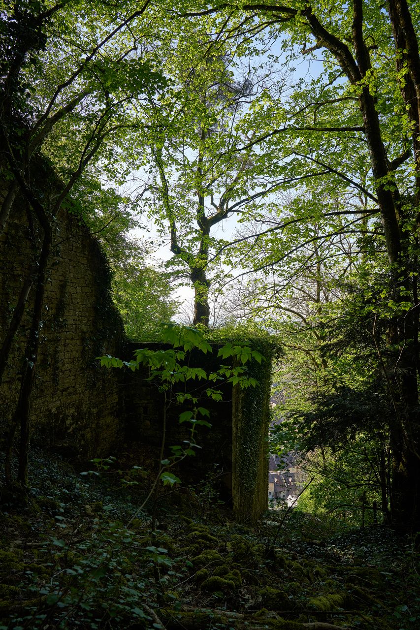 Communes Poligny rempart-Poligny-030