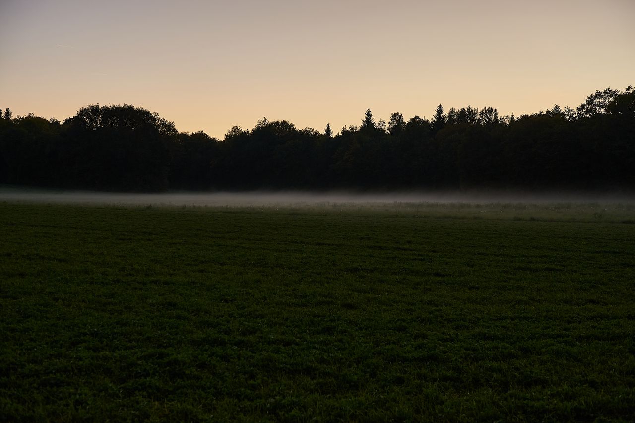 Paysage Divers brouillard-sur-champs2