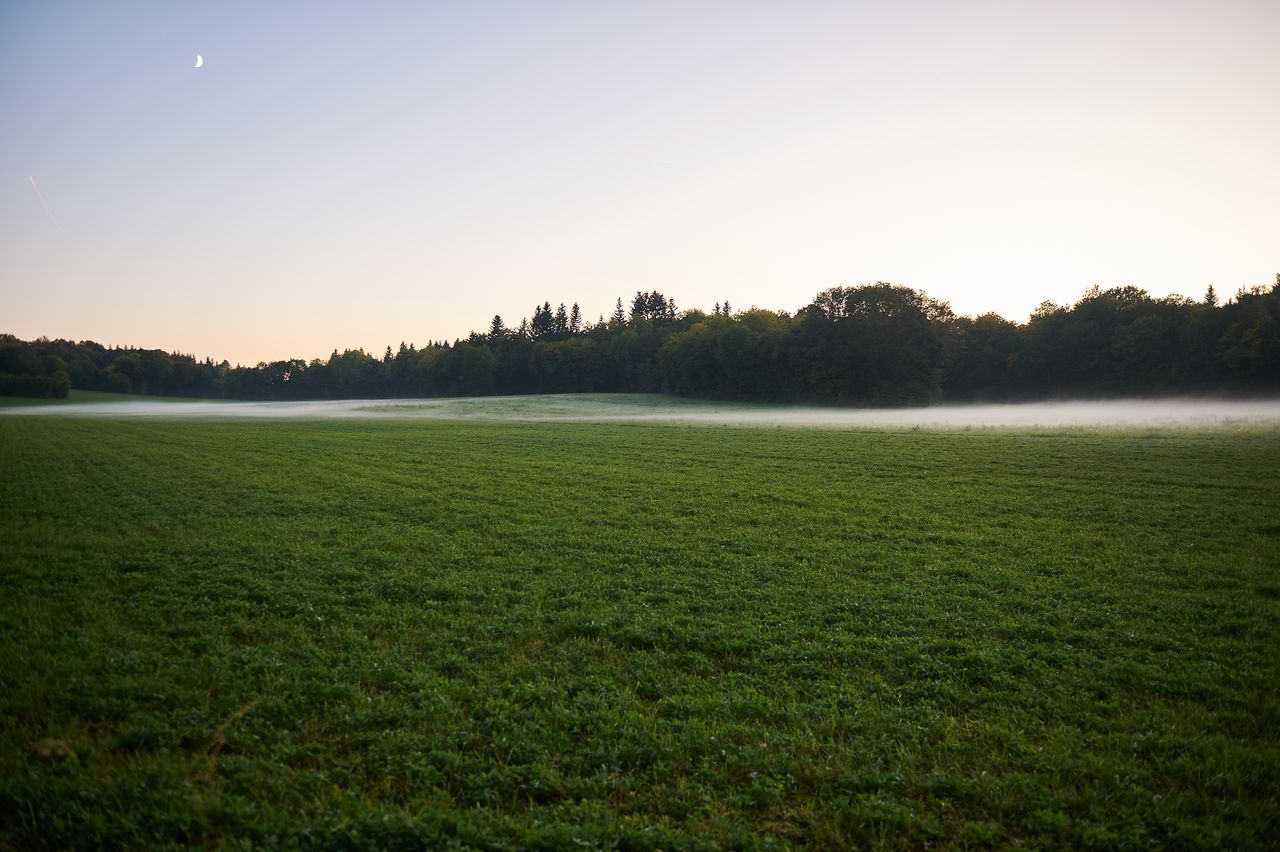 Paysage Divers brouillard-sur-champs3