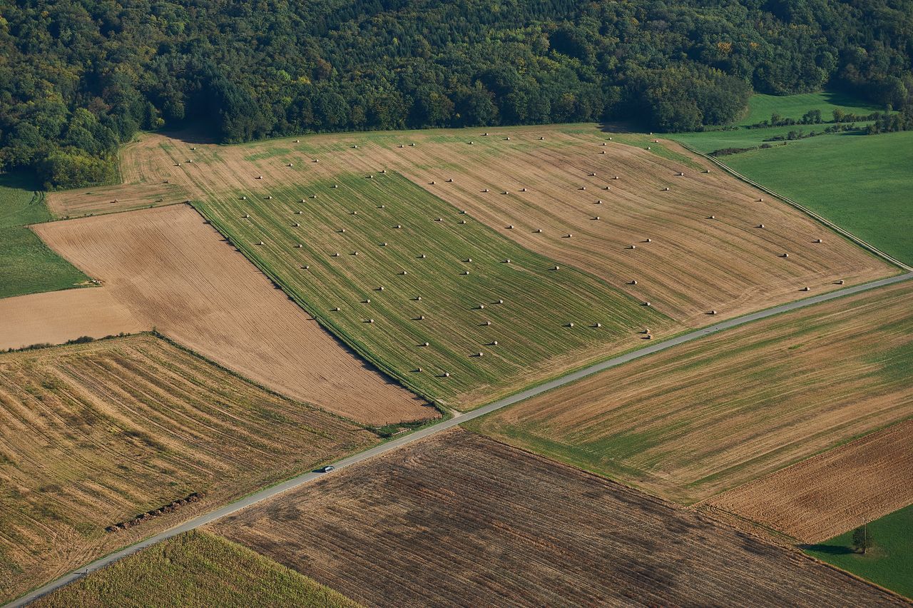Paysage Divers champs-foin