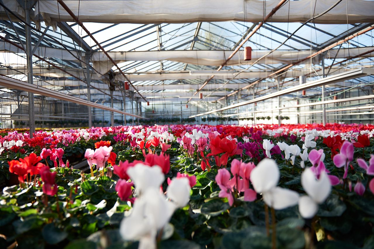 Paysage Divers horticulture-arbois